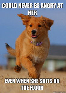 Ridiculously Photogenic Puppy
