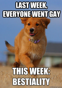 Ridiculously Photogenic Puppy