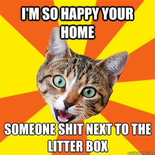 Bad Advice Cat