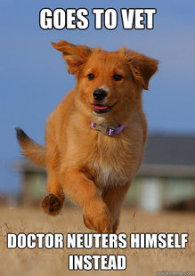 Ridiculously Photogenic Puppy