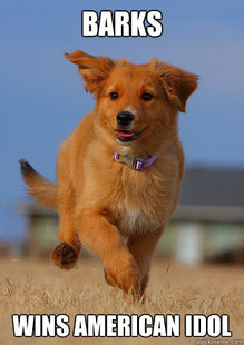 Ridiculously Photogenic Puppy