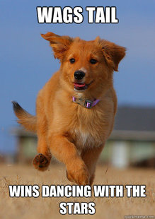 Ridiculously Photogenic Puppy