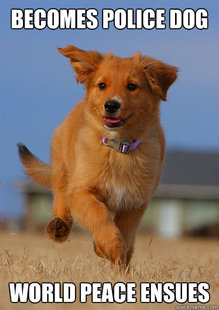 Ridiculously Photogenic Puppy