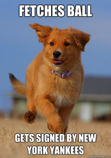 Ridiculously Photogenic Puppy