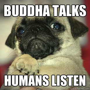 SMUG PUG