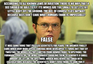 Dwight