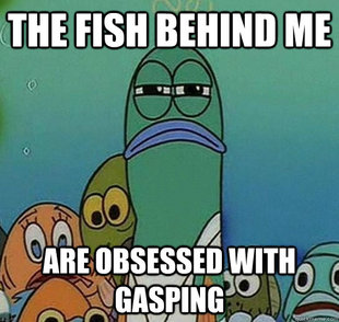 Serious fish SpongeBob