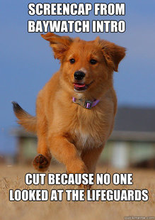 Ridiculously Photogenic Puppy