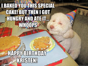 Birthday Dog