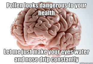 Scumbag Brain