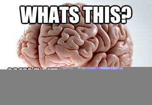 Scumbag Brain