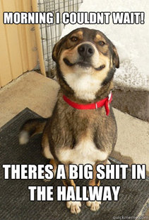 Good Dog Greg