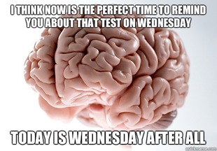 Scumbag Brain