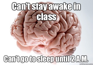 Scumbag Brain