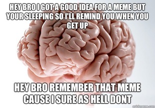 Scumbag Brain