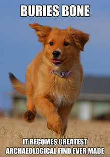 Ridiculously Photogenic Puppy