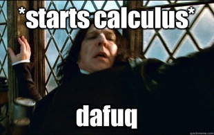 Snape Dafuq
