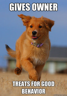 Ridiculously Photogenic Puppy