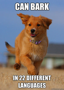 Ridiculously Photogenic Puppy