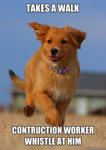 Ridiculously Photogenic Puppy