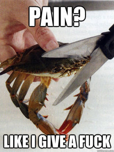 Optimistic Crab