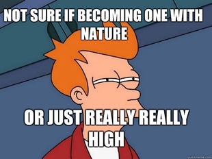 Futurama Fry