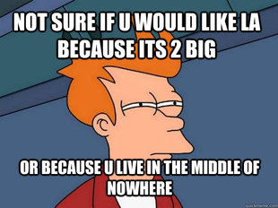 Futurama Fry