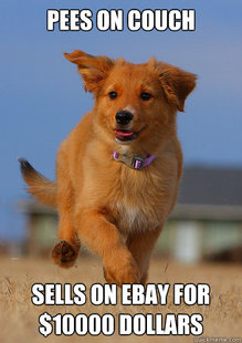 Ridiculously Photogenic Puppy