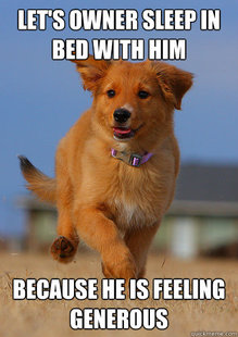 Ridiculously Photogenic Puppy