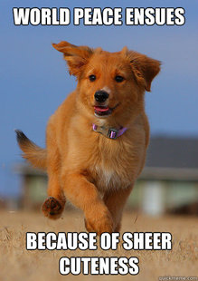 Ridiculously Photogenic Puppy