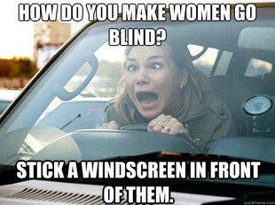 Mayhem Female Driver