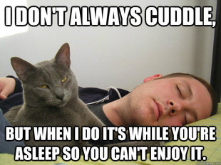 The Most Interesting Cat in the World