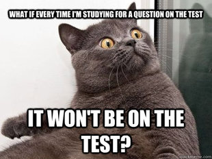 conspiracy cat
