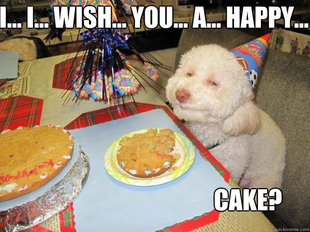 Birthday Dog