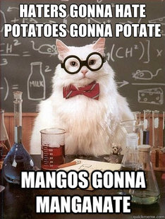 Chemistry Cat