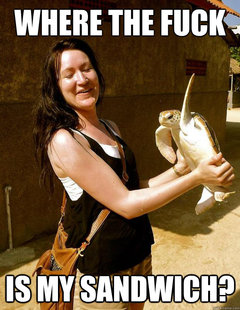 Domestic Violence Turtle