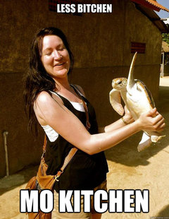 Domestic Violence Turtle