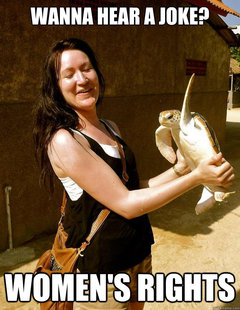 Domestic Violence Turtle