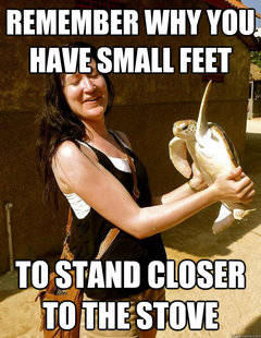 Domestic Violence Turtle