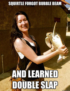 Domestic Violence Turtle