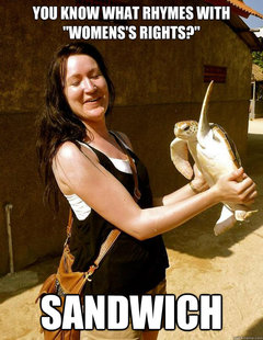 Domestic Violence Turtle