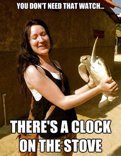 Domestic Violence Turtle