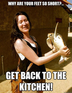 Domestic Violence Turtle