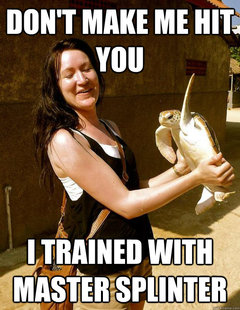 Domestic Violence Turtle