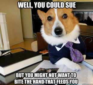 Lawyer Dog