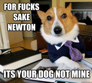 Lawyer Dog