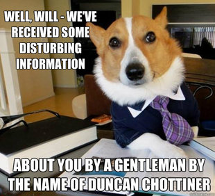 Lawyer Dog