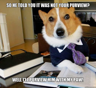 Lawyer Dog