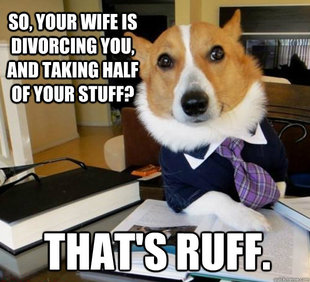 Lawyer Dog
