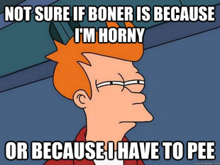 Futurama Fry